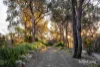40 Moonlight Road, Kangaroo Ground, Vic 3097-Image