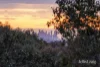 40 Moonlight Road, Kangaroo Ground, Vic 3097-Image