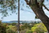 40 Mount Street, Arncliffe, NSW 2205-Image