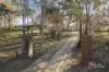 40 Poplar Drive, Harcourt, Vic 3453-Image