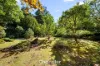 40 Prion Road, Mount Dandenong, Vic 3767-Image