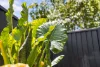 40 Red Ochre Street, Redlynch, Qld 4870-Image