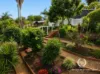 40 Rogers Ave, Beenleigh, Qld 4207-Image