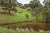 40 Searles Lane, Reedy Creek, Vic 3658-Image