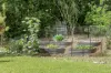 40 Silverwood Drive, Cooroibah, Qld 4565-Image