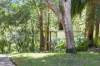 40 Silvia Street, Hornsby, NSW 2077-Image