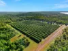 40 Spencer Road, Darwin River, NT 0841-Image