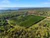 40 Spencer Road, Darwin River, NT 0841-Image