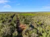 40 Spencer Road, Darwin River, NT 0841-Image