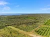 40 Spencer Road, Darwin River, NT 0841-Image