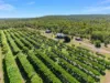 40 Spencer Road, Darwin River, NT 0841-Image