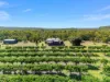 40 Spencer Road, Darwin River, NT 0841-Image