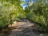 40 Spencer Road, Darwin River, NT 0841-Image