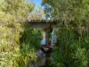 40 Spencer Road, Darwin River, NT 0841-Image