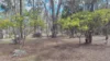 40 Sugarloaf Road, Stanthorpe, Qld 4380-Image