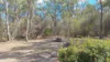 40 Sugarloaf Road, Stanthorpe, Qld 4380-Image