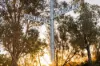 40 Sunlit Avenue, Dayton, WA 6055-Image