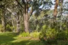 40 Sunset Avenue, Woolgoolga, NSW 2456-Image