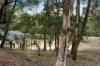 40 The Parkway, Sunbury, Vic 3429-Image