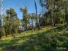 40 Wallaby Court, Garfield North, Vic 3814-Image