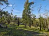 40 Wallaby Court, Garfield North, Vic 3814-Image