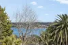 40 Walton Street, Blakehurst, NSW 2221-Image