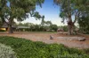 40 Warrego Circuit, Sandhurst, Vic 3977-Image