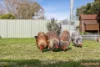 40 Wheadon Street, Monash, ACT 2904-Image