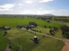 401 Archie Road, Murray Town, SA 5481-Image