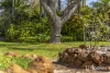 403 Mulga Drive, Parklands, WA 6180-Image