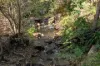 406 Main Road, Coromandel Valley, SA 5051-Image