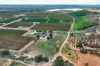 407 Lyrup Main Road, Lyrup, SA 5343-Image