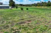 407 Lyrup Main Road, Lyrup, SA 5343-Image