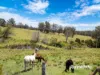 4070 Princes Highway, Coila NSW 2537-Image