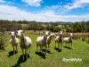 4070 Princes Highway, Coila NSW 2537-Image