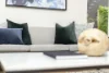 409A Vincent Street West, West Leederville, WA 6007-Image