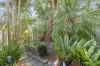 40A Carrington Road, Randwick, NSW 2031-Image