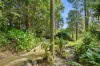 40A Pearce Drive, Coffs Harbour, NSW 2450-Image