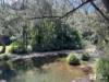 40B Walters Road, Upper Orara, NSW 2450-Image