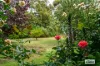 41-43 Howlong Road, Rutherglen, Vic 3685-Image