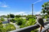 41-43 Veivers Road, Palm Cove, Qld 4879-Image