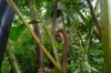 41-43 Veivers Road, Palm Cove, Qld 4879-Image