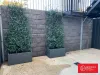 41 Abercrombie Avenue, Woodforde, SA 5072-Image