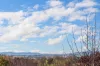41 Abercrombie Drive, Abercrombie, NSW 2795-Image