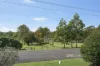 41 Allan Road, Wauchope, NSW 2446-Image
