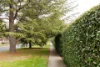 41 Batman Street, Braddon, ACT 2612-Image