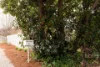 41 Batman Street, Braddon, ACT 2612-Image