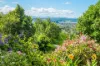 41 Beaumont Drive, East Lismore, NSW 2480-Image