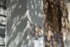 41 Bond Street, West End, Qld 4101-Image