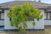 41 Boulder Avenue, Ascot WA 6104-Image